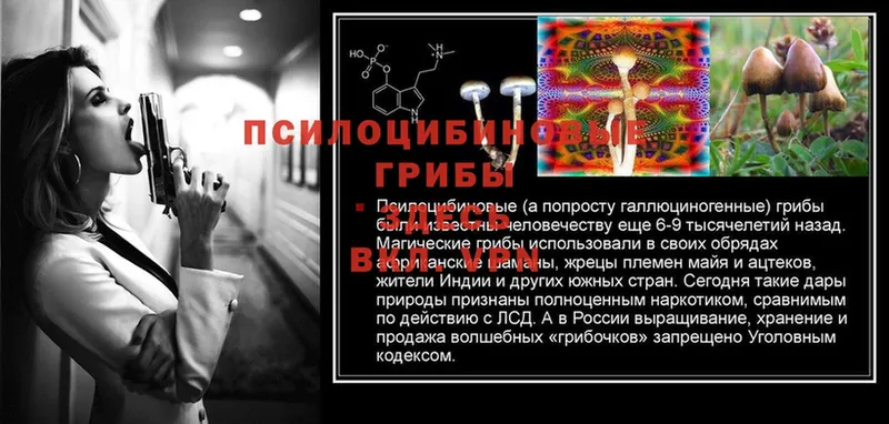 Галлюциногенные грибы MAGIC MUSHROOMS  где продают   Луга 